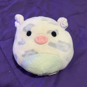 Squishmallow Flipamallow “Rosie” and “Brisby”